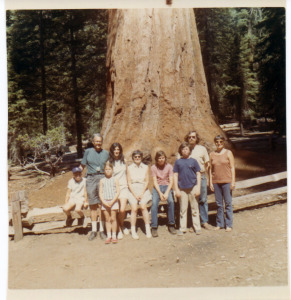 Yosemite1971